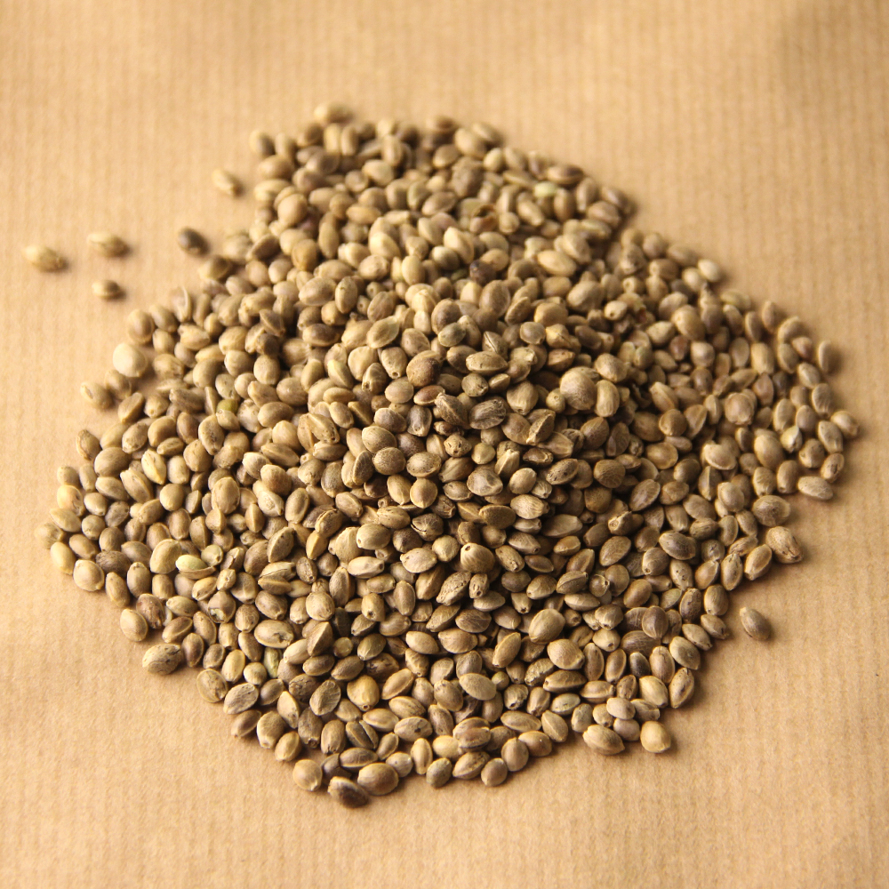 Качество семян