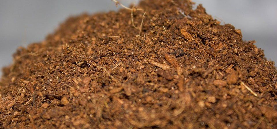 Типы субстрата